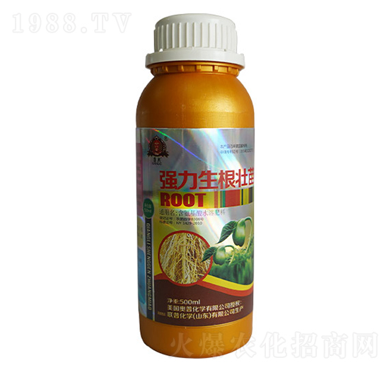 ��(qi��ng)����������-(li��n)�ջ��W(xu��)