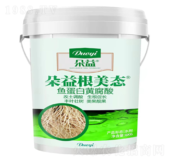 �~�����S����-��������-�����r�I(y��)