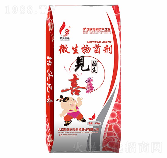 ΢����������w����̧�^Ҋϲ-���W����