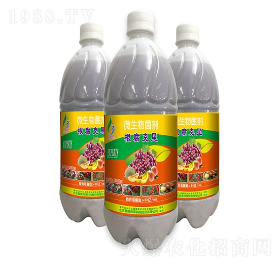 ΢���������Һ�w��-��������-���W����