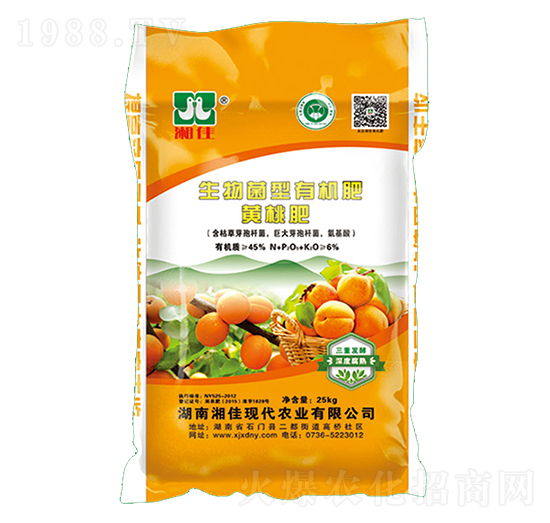 �������S�Ҍ�����������ЙC����-���