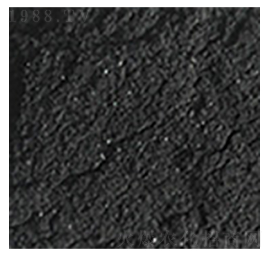 腐植酸腐納-深?yuàn)W科技