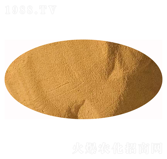 1200億原菌種-發(fā)財(cái)羊