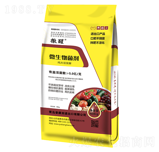40kg΢�������-����-�տ���