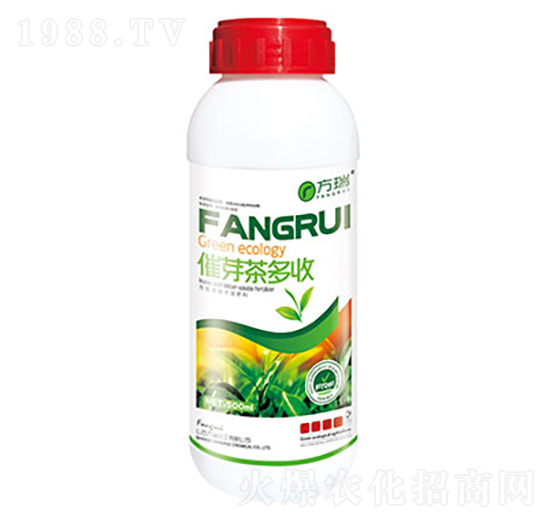 催芽茶多收-方瑞