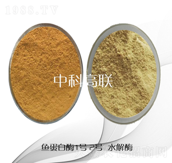 �~����ˮ��ø-�пƸ�(li��n)