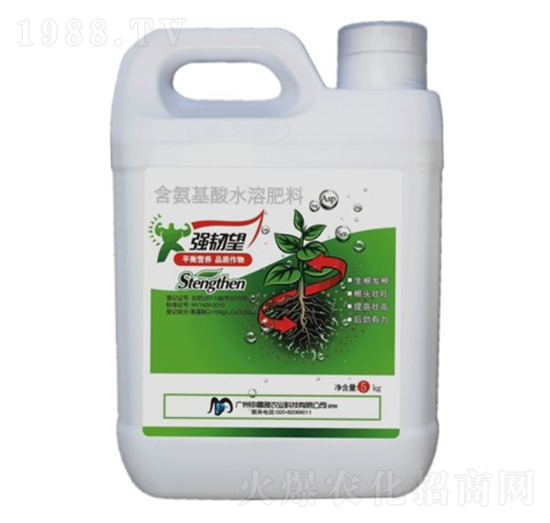 ���g���_ʩ�ʣ�ƽ��I�B(y��ng)��-�꾧��