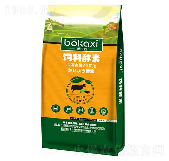 ��Ͻ���-���d����