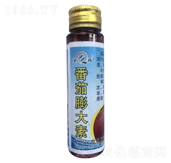 ���������-�h�滯��