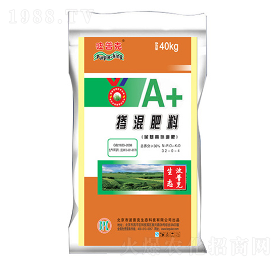 �������-���տ�