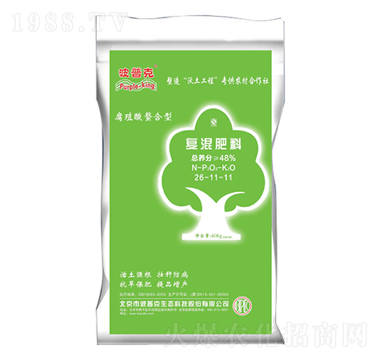 �ߵ����Ϗͻ����26-11-11-���տ�