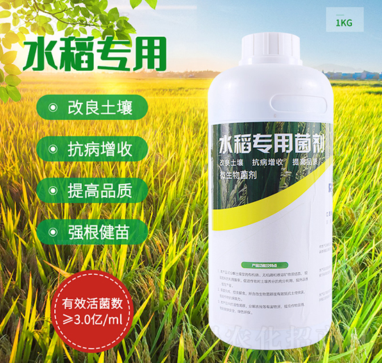 水稻專(zhuān)用菌劑-潤(rùn)垚