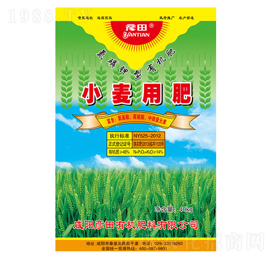 С���÷�-����