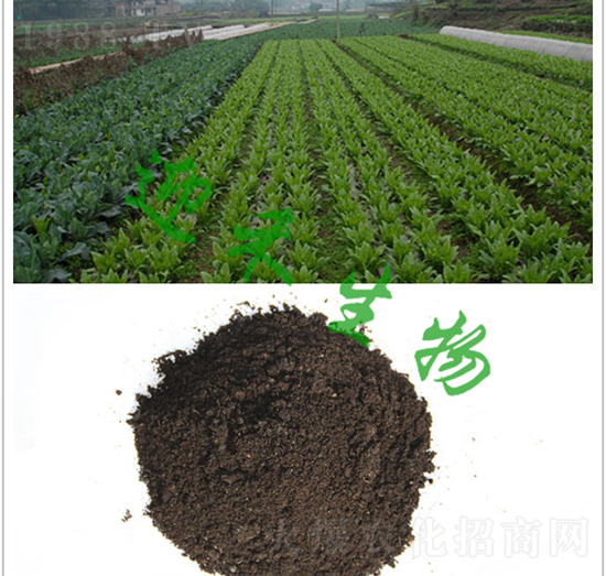 �߲ˌ��÷�-ӭ������