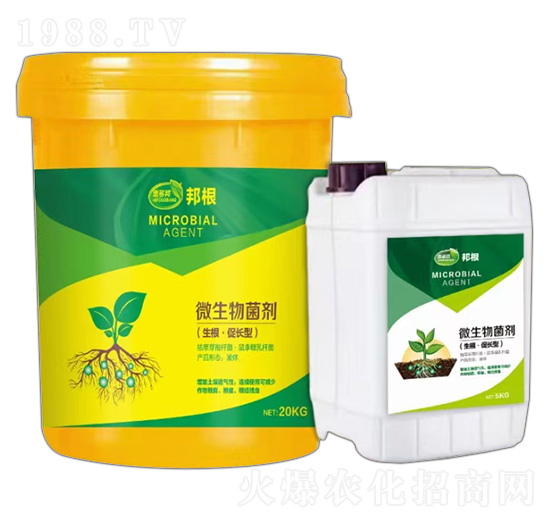 生根·促長(zhǎng)型微生物菌劑-邦根-惠多邦