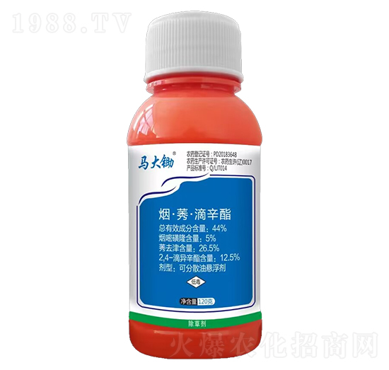 44%����ݬ��������-�R���z-�����r(n��ng)�I(y��)