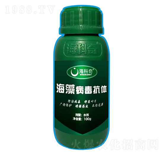 ���岡�����w-������