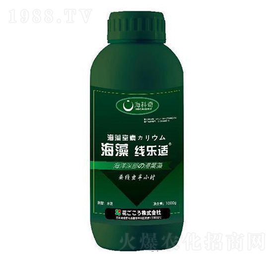 ���往���m-������