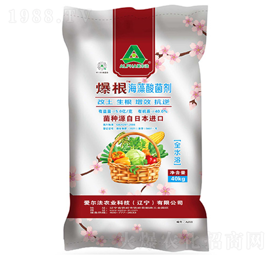 爆根海藻酸菌劑-愛爾法