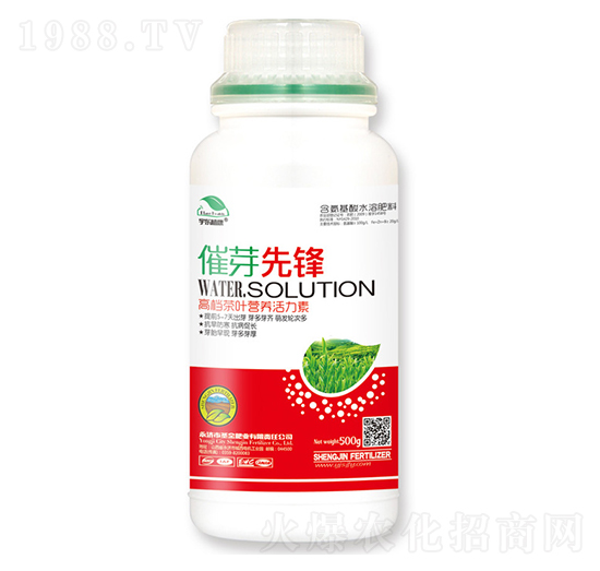 �߶˲��~�I�B(y��ng)������-��ѿ���h-��|ֲ��-ʥ��ʘI(y��)