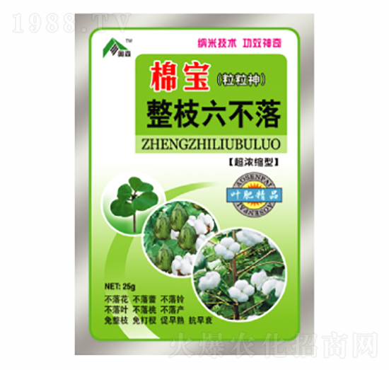 棉寶整枝六不落-康爾特