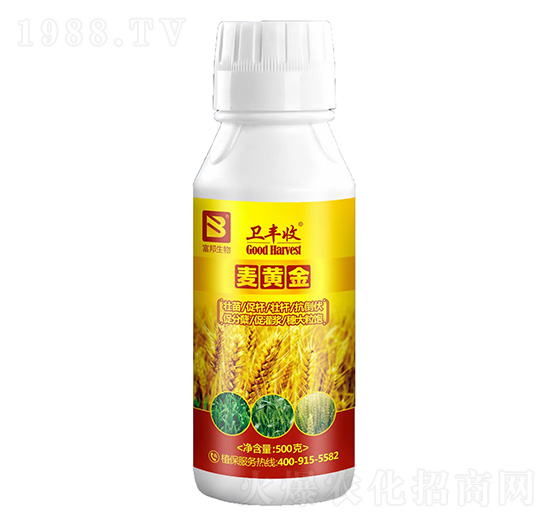 ���S��-�l(w��i)�S��-��������