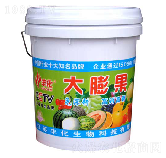 大膨果-豐化