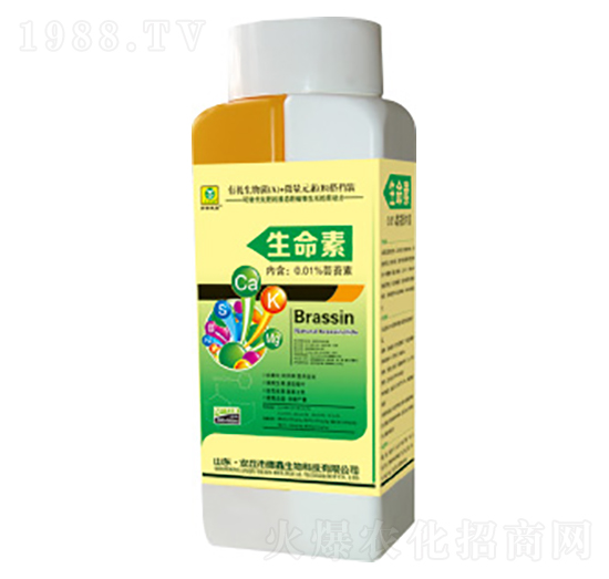 ������-��������