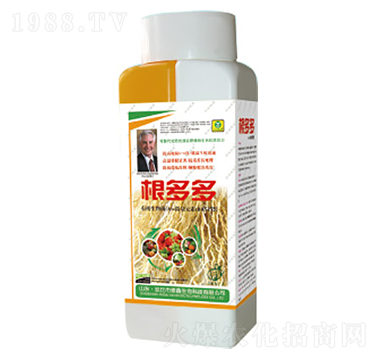 ������~���-��������