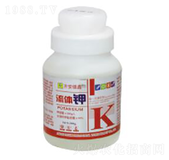 ���w�-��������