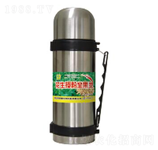 �����ڷ������`-��������