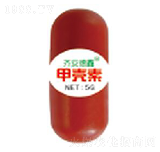 �ך���-��������