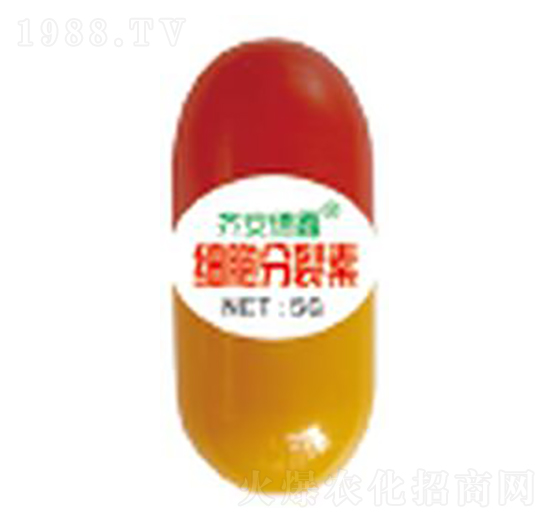 5g����������-��������