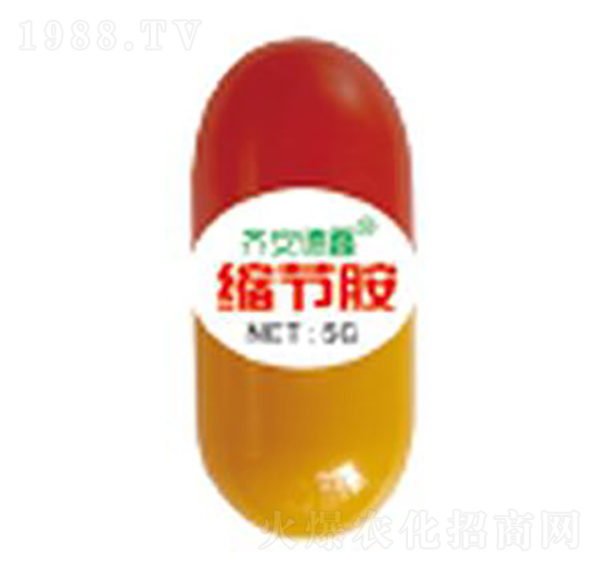 �s��(ji��)��-��������