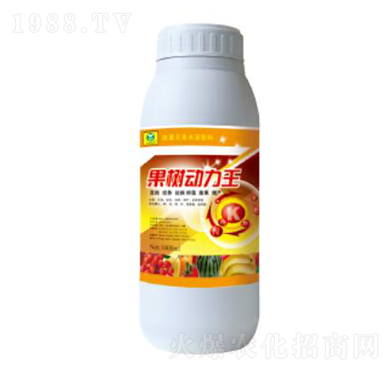 �����(d��ng)����-��������