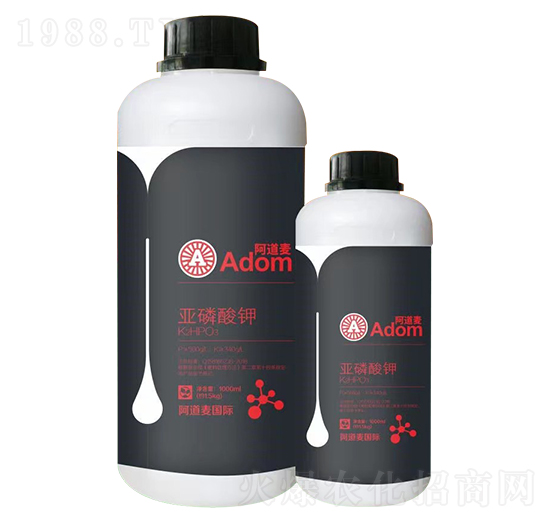 �������-������