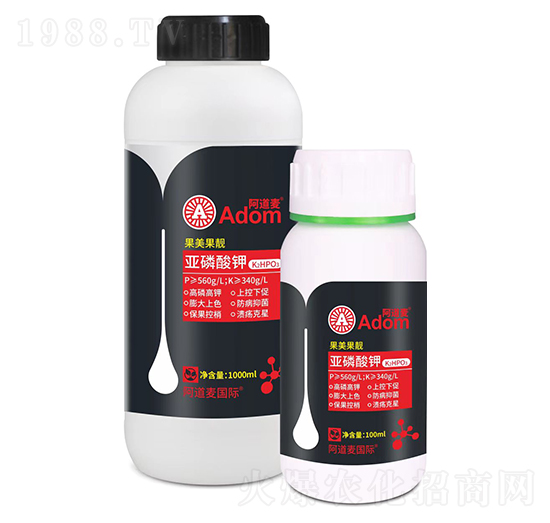 �������-�������n-������