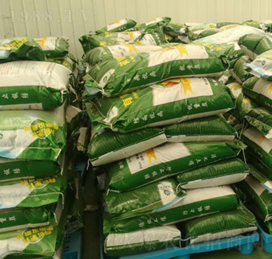 �̑B(t��i)�ЙC(j��)��-�B(y��ng)�����B(t��i)