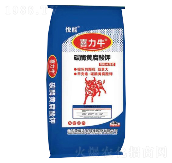 ̼ø�S�����-ϲ��ţ-�sҫ�r(n��ng)�I(y��)