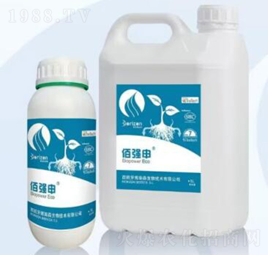 佰強申-?？颂m德