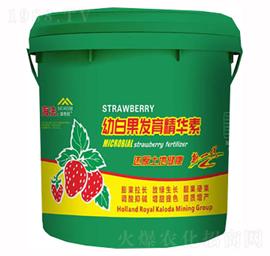 �װ׹��l(f��)�����A��-����-�����S