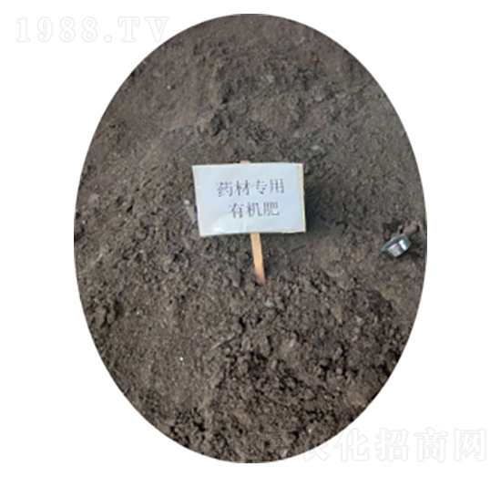 ˎ�Č����ЙC(j��)��-�r(n��ng)��ʘI(y��)