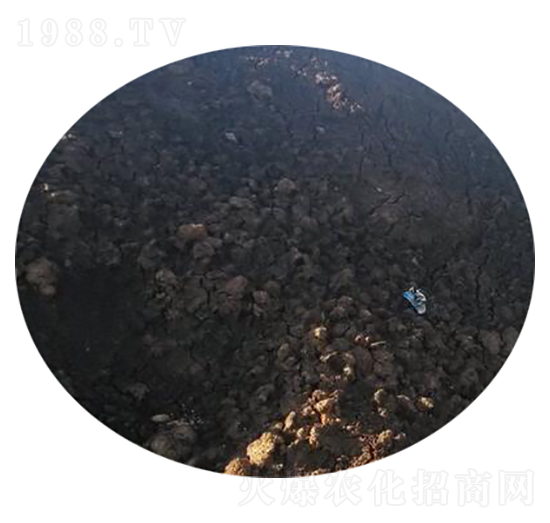 ţ�S�ЙC��-�r��ʘI(y��)