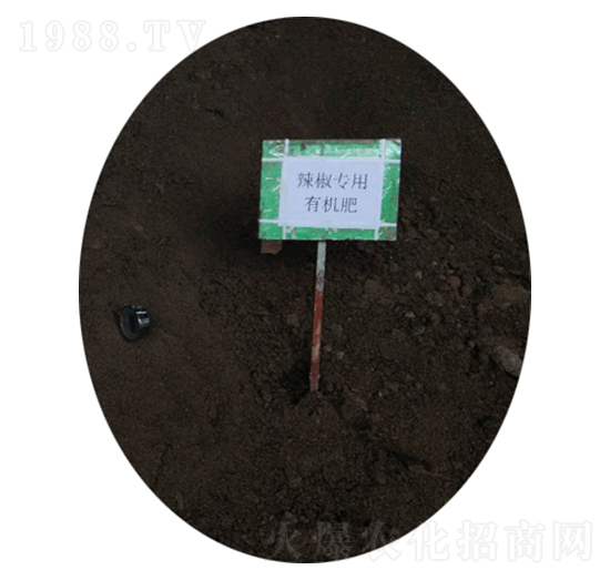 �����ЙC(j��)��-�r(n��ng)��ʘI(y��)