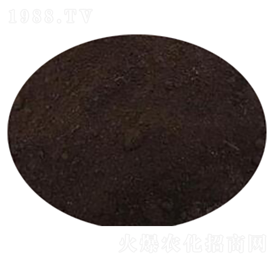 �Ϳ��ЙC(j��)��-�r(n��ng)��ʘI(y��)