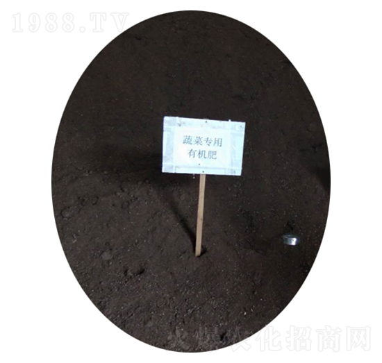 �߲ˌ����ЙC(j��)��-�r(n��ng)��ʘI(y��)