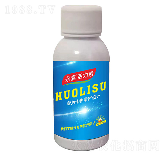 ������-����ֲ��