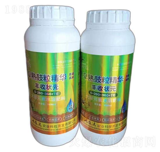 早熟鼓粒精華-鴻盛達