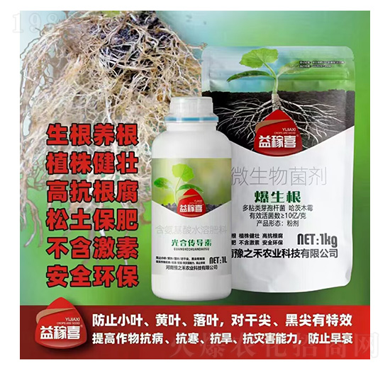 光合傳導(dǎo)素+爆生根-益稼喜-豫之禾