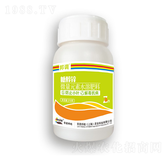 �Ǵ��\-���{-�ڶ����